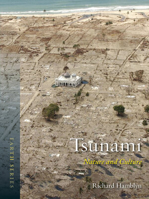 cover image of Tsunami
